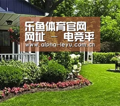 乐鱼体育官网网址 - 电竞平台