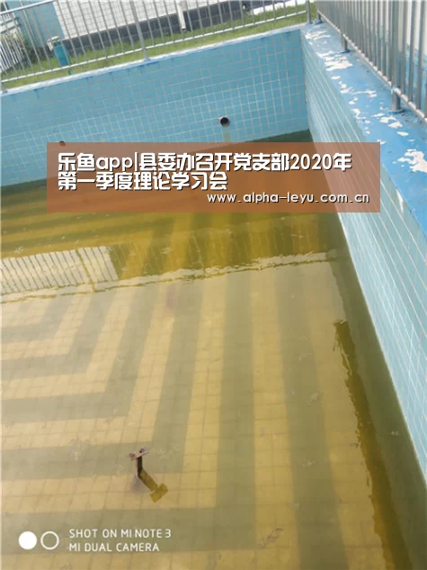 乐鱼官网