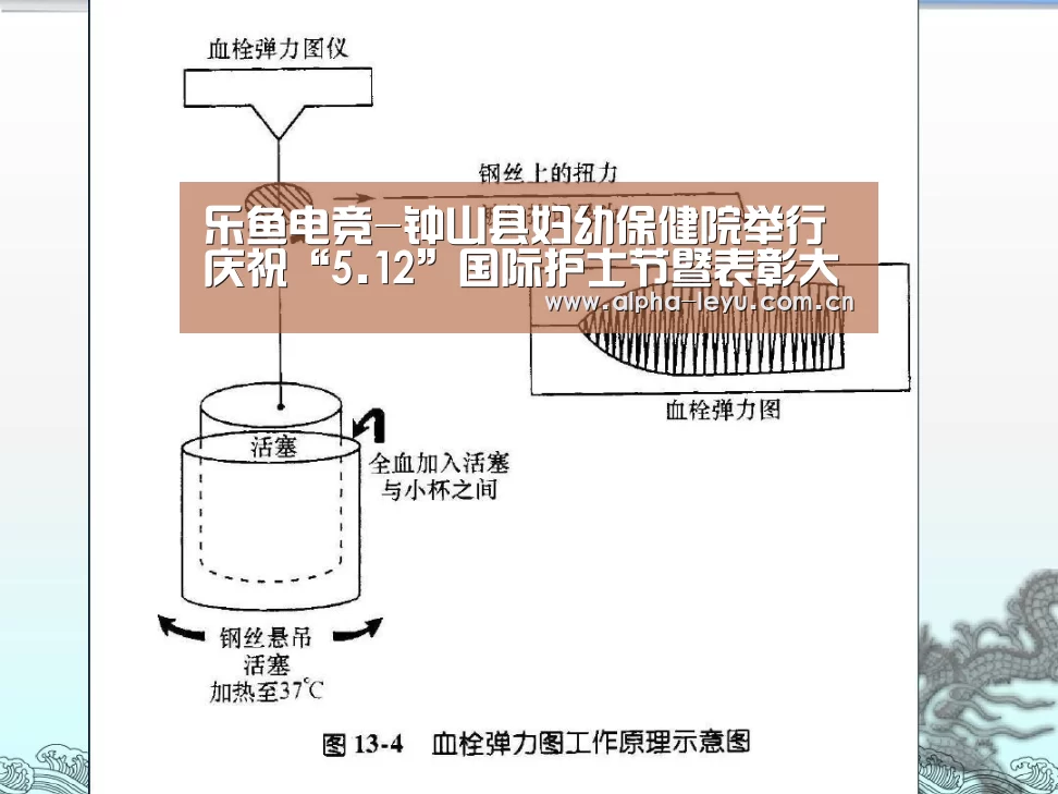 乐鱼官网