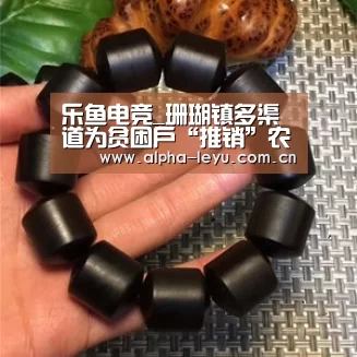 乐鱼官网
