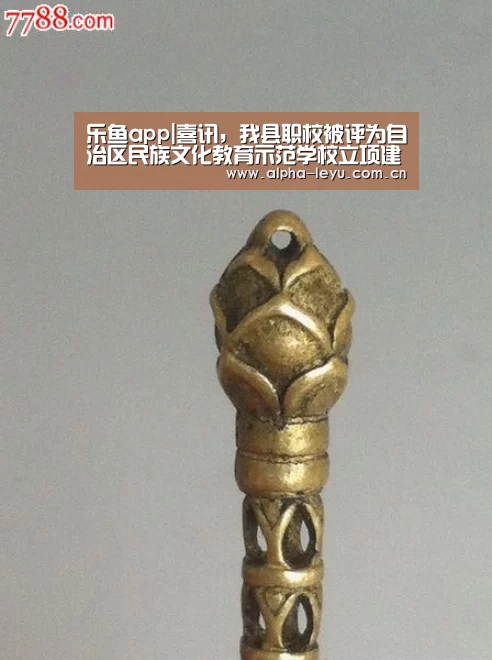 乐鱼app|喜讯,我县职校被评为自治区民族文化教育示范学校立项建设项目单位(图1) leyu中国官网