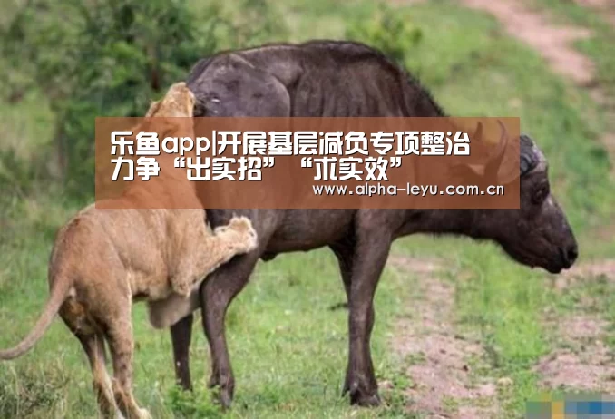 乐鱼app