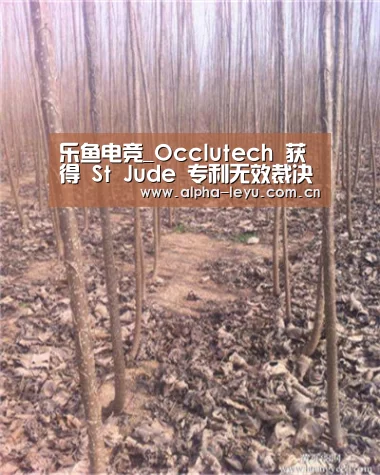 乐鱼app