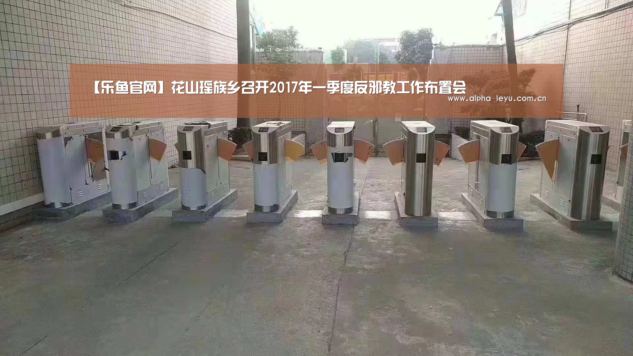 乐鱼app