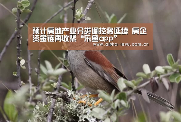 预计房地产业分类调控将延续 房企资金链再收紧“乐鱼app”(图2) leyu中国官网