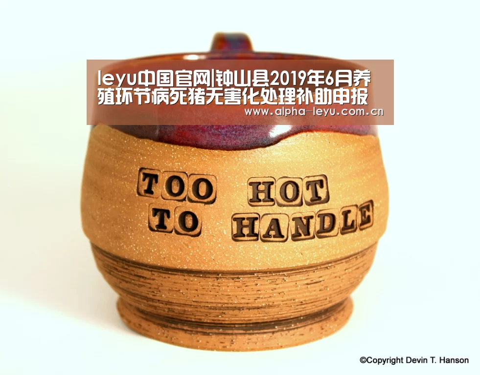 乐鱼官网