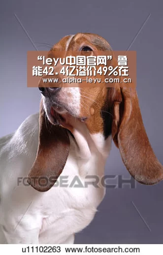 “leyu中国官网”鲁能42.4亿溢价49%在京拿地(图1) 乐鱼官网