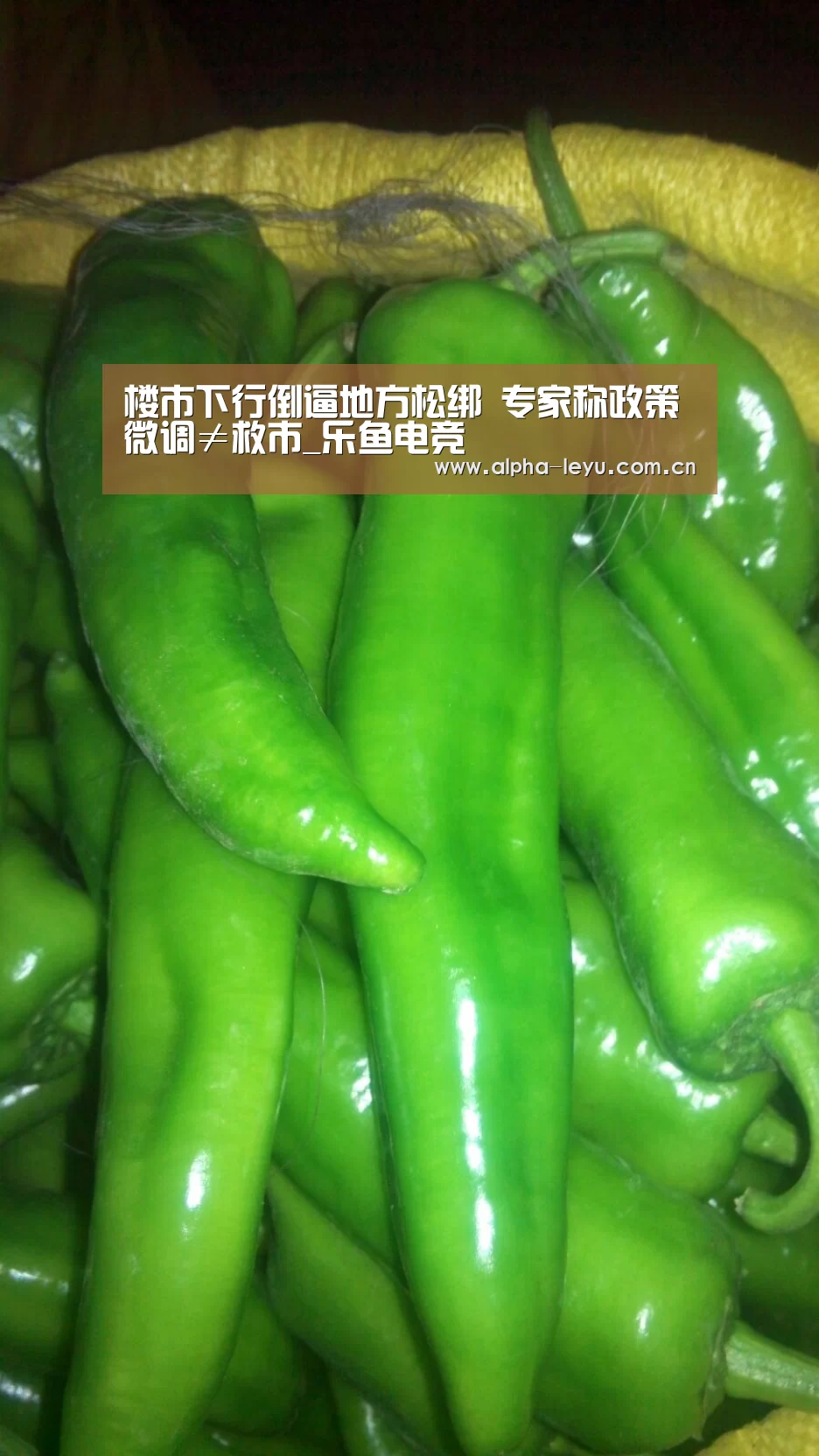 leyu中国官网